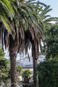 Frente a la playa de O Salgueirón se erguía la fábrica de salazón del genovés Guido Paganini Picasso, que hacia 1930 y tras su quiebra era adquirida por Massó Hermanos.