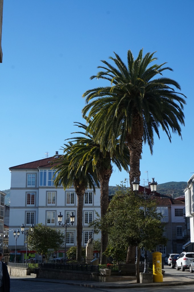 Se encuentran estos pequeños jardines ante la alameda de Celanova, construida sobre las huertas de San Salvador una vez llegada la desamortización.