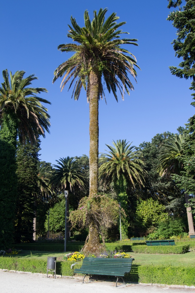 El origen del principal jardín de la capital de Galicia se remonta al siglo XVI, con la donación de los terrenos a la ciudad por parte del conde de Altamira.