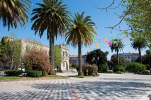 Junto a los Jardines de Felipe de Castro se yergue un palmeral en una zona que comenzará a ser urbanizada en 1880, sufriendo reformas y ampliaciones en 1926 y 1950 y destacando en uno de sus extremos el palco de la música.