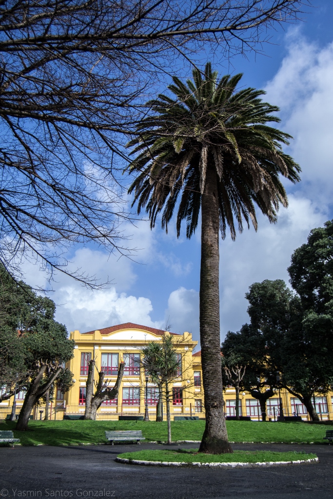 La urbanización, en cuyo centro se sitúa el destacado ejemplar, fue promovida por el político Ramón Maseda Reinante, con un concepto de vivienda unifamiliar para clases populares.