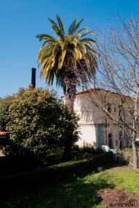 Pertenece esta parada al tramo de vía que une Redondela con Pontevedra, y que permitía enlazar la capital de provincia con la ciudad de Vigo. El proyecto fue realizado por el ingeniero Mariano Cardedera en 1881, construyéndose la línea entre ese año y 1886. La contratación de las distintas estaciones, entre ellas la de Arcade, se realiza con Manuel Antonio Fernández y Manuel Corbal.