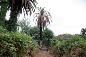 En el lugar de Bañobre y muy próximo al Pazo de San Paio se encuentra este otro de más humilde factura, quizá más destinado a la producción agropecuaria. Su origen parece estar relacionado con el vínculo creado por Lope García de Vilousaz y María Ares de Figueroa. El conjunto ha sufrido grandes modificaciones debido a los cambios en la propiedad de los terrenos, sin embargo todavía es apreciable el espacio original.