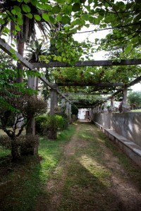 El Pazo se encuentra en el lugar de Bañobre, estando su origen vinculado a Juan Martínez Tenreiro y su esposa María Piñeiro de Lago, y habiendo sido cedido en el año 1940 por parte de los condes de Vigo a la comunidad de las Hijas de Mª Inmaculada para albergar un colegio.