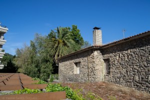 Entre la playa de Compostela y la vía del tren que une Vilagarcía con Carril se encuentra una curiosa propiedad con uno de los jardines botánicos privados más importantes de Galicia.