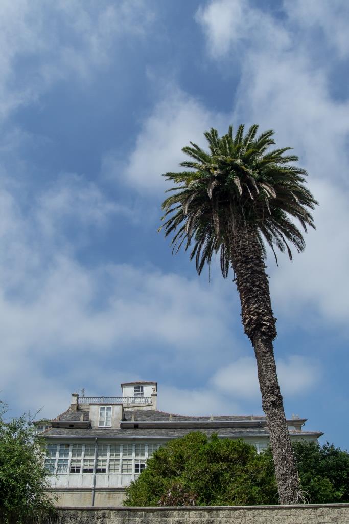 Resulta una temprana construcción de 1869, con un extraño diseño que no recuerda a las casas indianas sino más bien a un imponente edificio institucional.