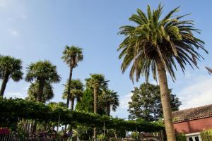 La vivienda es promovida en el año 1918 por el emigrante Vicente Ramos Rodríguez, emigrado en Argentina, quien funda la primera línea de autobuses de Buenos Aires.