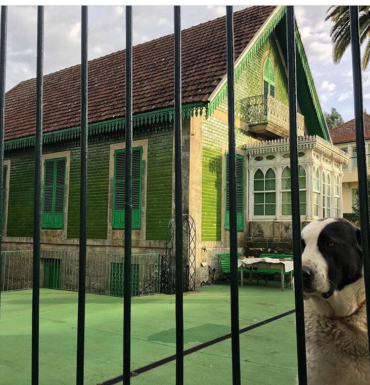Esta casa de llamativa decoración fue promovida por el médico José Estévez y Clotilde Fernández, conocida como Mamá Clotilde, en el año 1895.