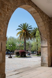 Junto a los Jardines de Felipe de Castro se yergue un palmeral en una zona que comenzará a ser urbanizada en 1880, sufriendo reformas y ampliaciones en 1926 y 1950 y destacando en uno de sus extremos el palco de la música.
