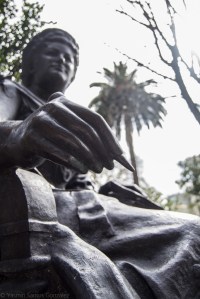 Los jardines son dedicados a la memoria del marino gallego en 1871. El palmeral está incluido en el catálogo de Árbores e formacións senlleiras de Galicia para su protección.