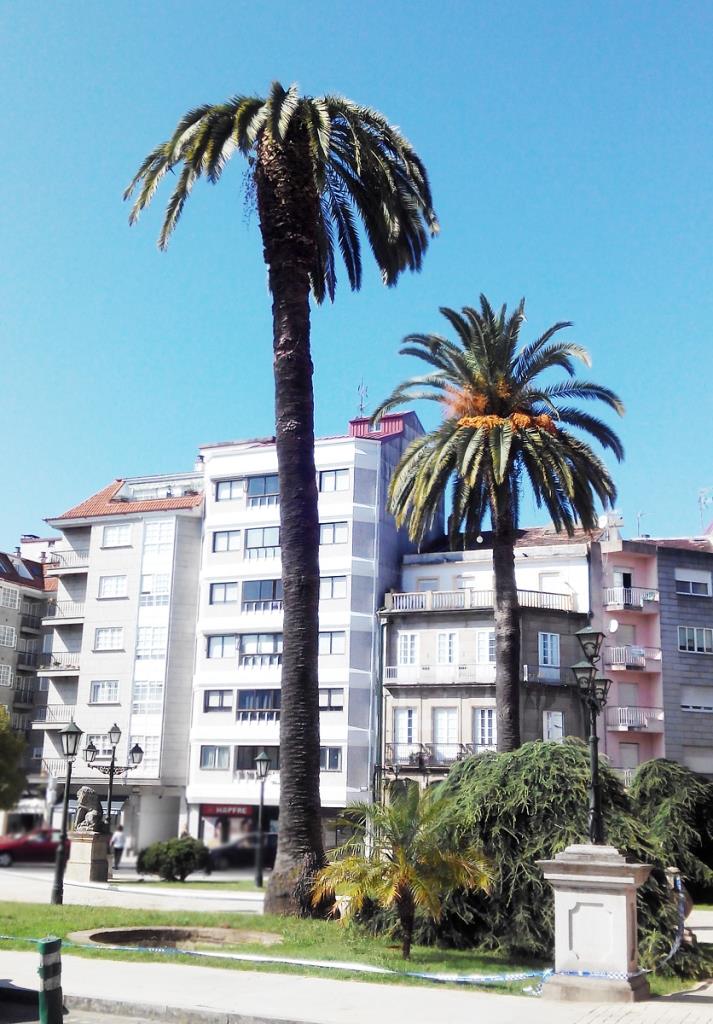 El autor del diseño es el arquitecto Domingo Rodríguez Sesmero. El edificio, de estilo ecléctico, sigue unas líneas sobrias, academicistas y clasicistas.