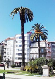 El autor del diseño es el arquitecto Domingo Rodríguez Sesmero. El edificio, de estilo ecléctico, sigue unas líneas sobrias, academicistas y clasicistas.