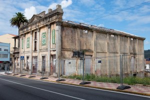 Espectacular ejemplar de palmera canaria que se encuentra junto al Cine Zárate, en el centro de la localidad.