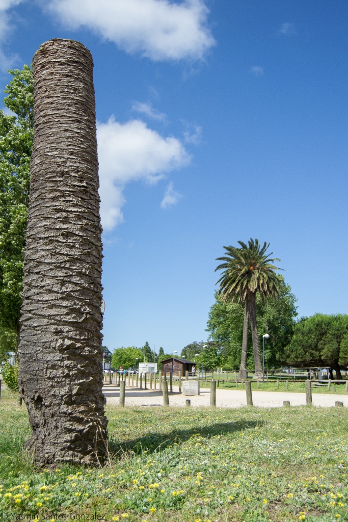 Con este curioso nombre que evoca el barrio donde se levanta solía referirse a su vivienda el industrial Eugenio Rodríguez Otero, propietario las Industrias Reunidas de Grasas, Aceites y Sebos (IRGAS).