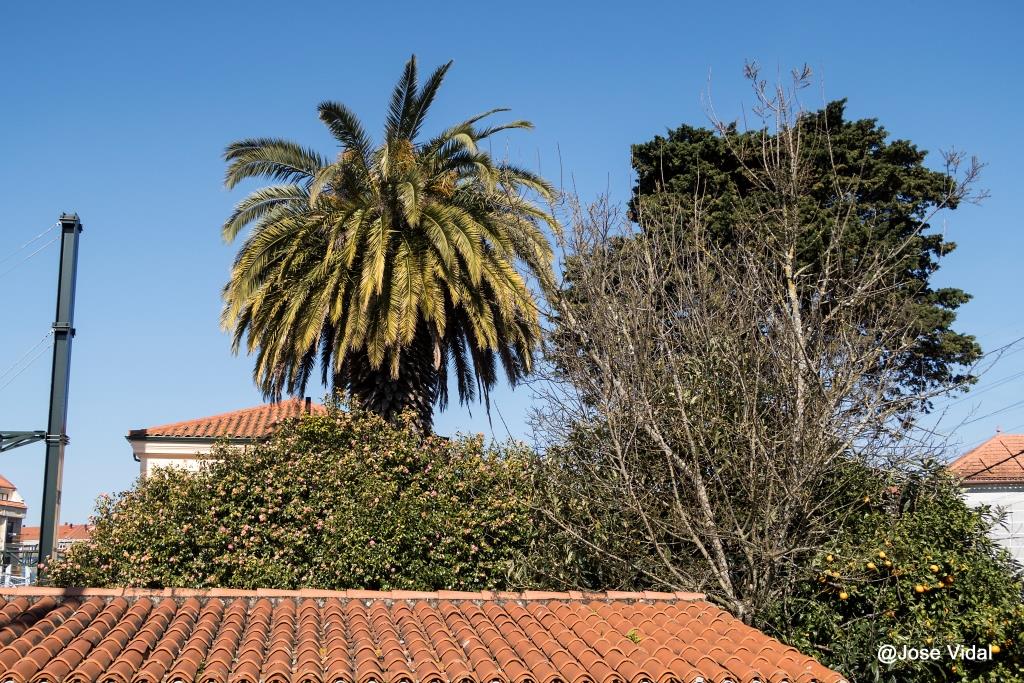 Pertenece esta parada al tramo de vía que une Redondela con Pontevedra, y que permitía enlazar la capital de provincia con la ciudad de Vigo. El proyecto fue realizado por el ingeniero Mariano Cardedera en 1881, construyéndose la línea entre ese año y 1886. La contratación de las distintas estaciones, entre ellas la de Arcade, se realiza con Manuel Antonio Fernández y Manuel Corbal.