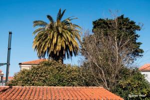 Pertenece esta parada al tramo de vía que une Redondela con Pontevedra, y que permitía enlazar la capital de provincia con la ciudad de Vigo. El proyecto fue realizado por el ingeniero Mariano Cardedera en 1881, construyéndose la línea entre ese año y 1886. La contratación de las distintas estaciones, entre ellas la de Arcade, se realiza con Manuel Antonio Fernández y Manuel Corbal.