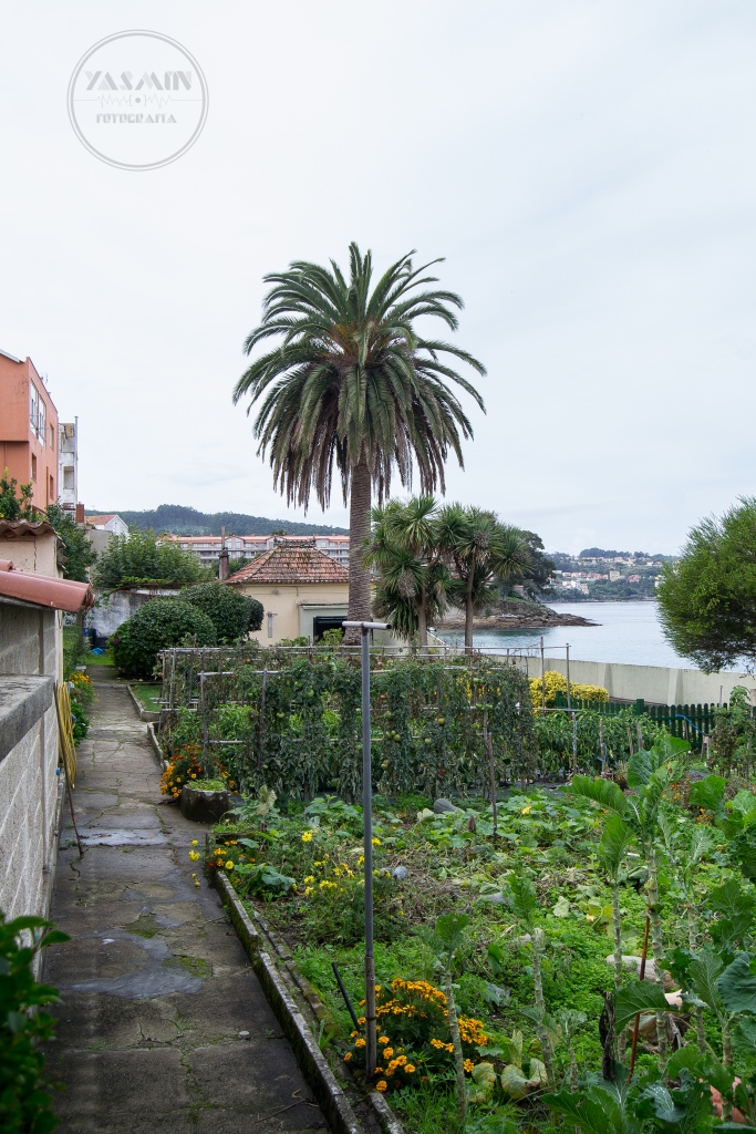 Nos encontramos ante un curioso y atractivo ejemplo de espacio de asueto, ubicado en la playa de Agrelo, a las afueras de la localidad.