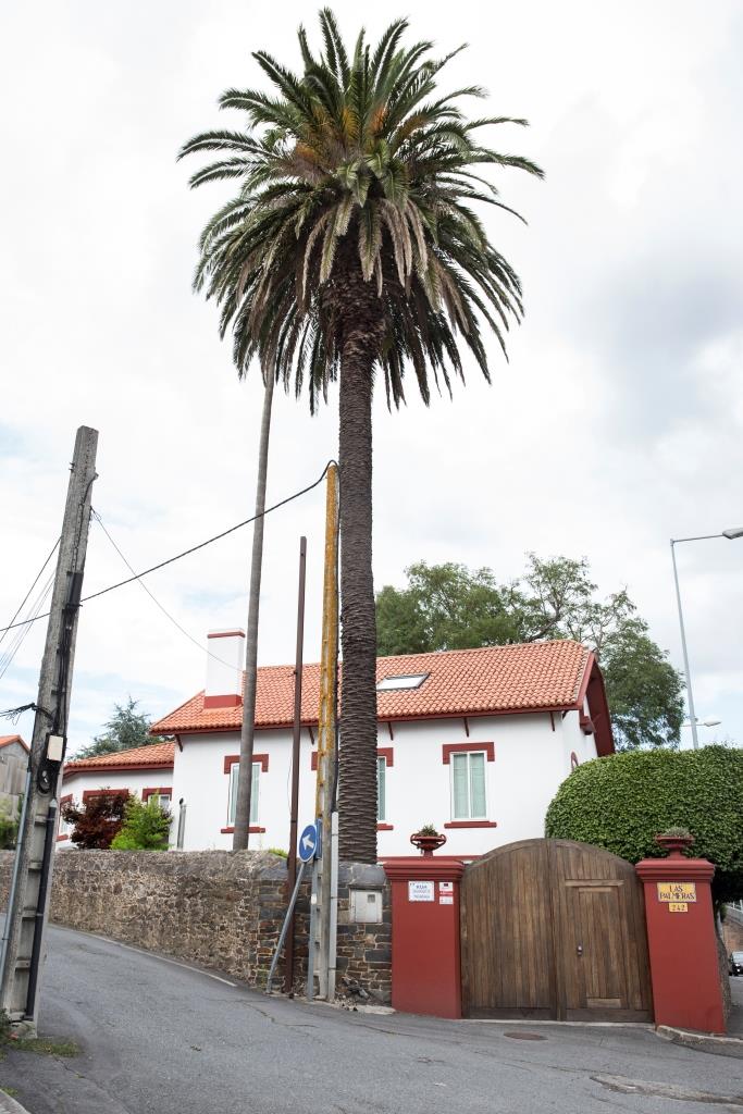 Entre la rúa Salvador de Madariaga y la carretera nacional se encuentra esta casa de planta rectangular. El nombre le viene dado por las dos grandes palmeras -una de ellas canaria- que se ubican junto a la puerta principal, adornada con jarrones de hierro forjado.