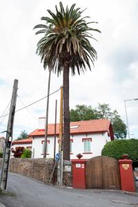 Entre la rúa Salvador de Madariaga y la carretera nacional se encuentra esta casa de planta rectangular. El nombre le viene dado por las dos grandes palmeras -una de ellas canaria- que se ubican junto a la puerta principal, adornada con jarrones de hierro forjado.