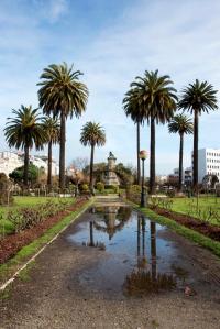 Varios ejemplares se aglutinan en torno al monumento dedicado a la memoria del político Aureliano Linares Rivas. Realizado en bronce y granito por Agustín Querol, fue inaugurado en 1912.
