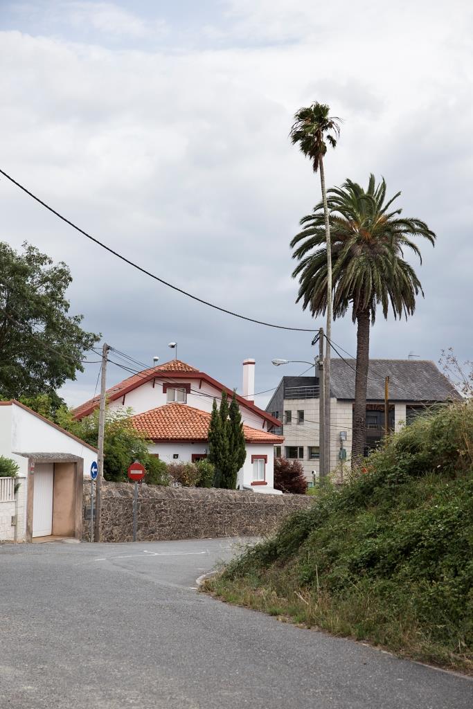 Entre la rúa Salvador de Madariaga y la carretera nacional se encuentra esta casa de planta rectangular. El nombre le viene dado por las dos grandes palmeras -una de ellas canaria- que se ubican junto a la puerta principal, adornada con jarrones de hierro forjado.