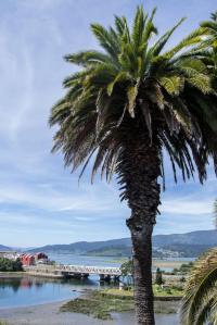 En 1921 la finca es adquirida por Avelino Justo Cambeses, pero desconocemos quién y en qué momento plantó las palmeras canarias.
