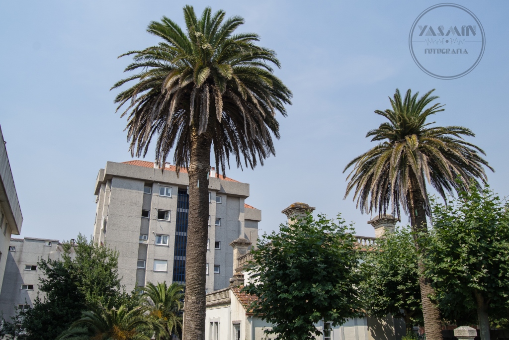 Se levanta esta casa en la rúa Tomás Mirambell de la villa, rodeada en su mayor parte por edificios de nueva factura.