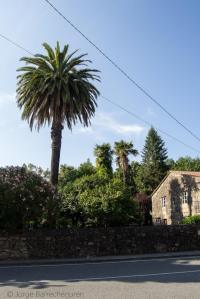 Esta casa de gran tamaño se abre a la carretera que comunica los concellos de Brión y Ames, justo en el límite entre ambos. La misma, bautizada con los nombres de Vicente Ramos y Maía, es punto destacado del asentamiento de indianos de la zona, por lo que es probable que este sea un nuevo ejemplo de ello.