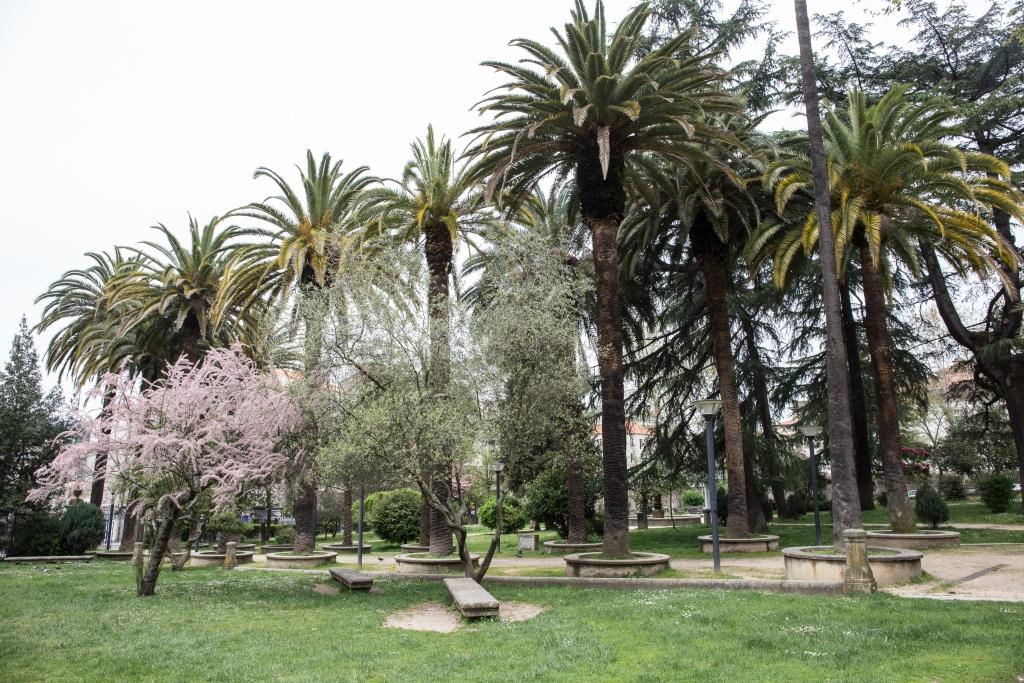 El origen de este espacio en su actual configuración se remonta a mediados del siglo XIX, cuando profesores del vecino instituto de segunda enseñanza deciden colaborar en la creación de un jardín botánico.