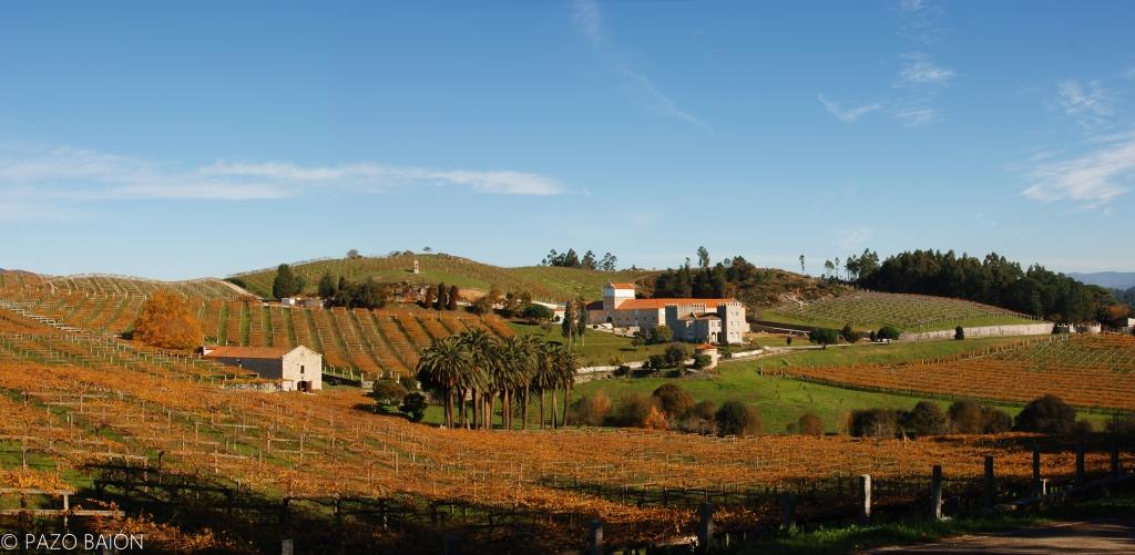 Las primeras referencias de esta propiedad de unas 30 hectáreas de extensión datan del siglo XV, relacionándola con la familia de los Sarmiento.