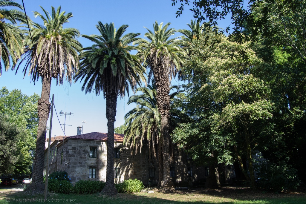 Entre la playa de Compostela y la vía del tren que une Vilagarcía con Carril se encuentra una curiosa propiedad con uno de los jardines botánicos privados más importantes de Galicia.