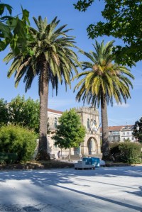 Junto a los Jardines de Felipe de Castro se yergue un palmeral en una zona que comenzará a ser urbanizada en 1880, sufriendo reformas y ampliaciones en 1926 y 1950 y destacando en uno de sus extremos el palco de la música.