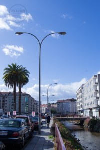 Se alzan estos dos ejemplares de palmera canaria en la avenida Rodrigo de Mendoza, pareciendo enmarcar la entrada del recinto del Pabellón Fexdega, que se encuentra inmediatamente al sur.
