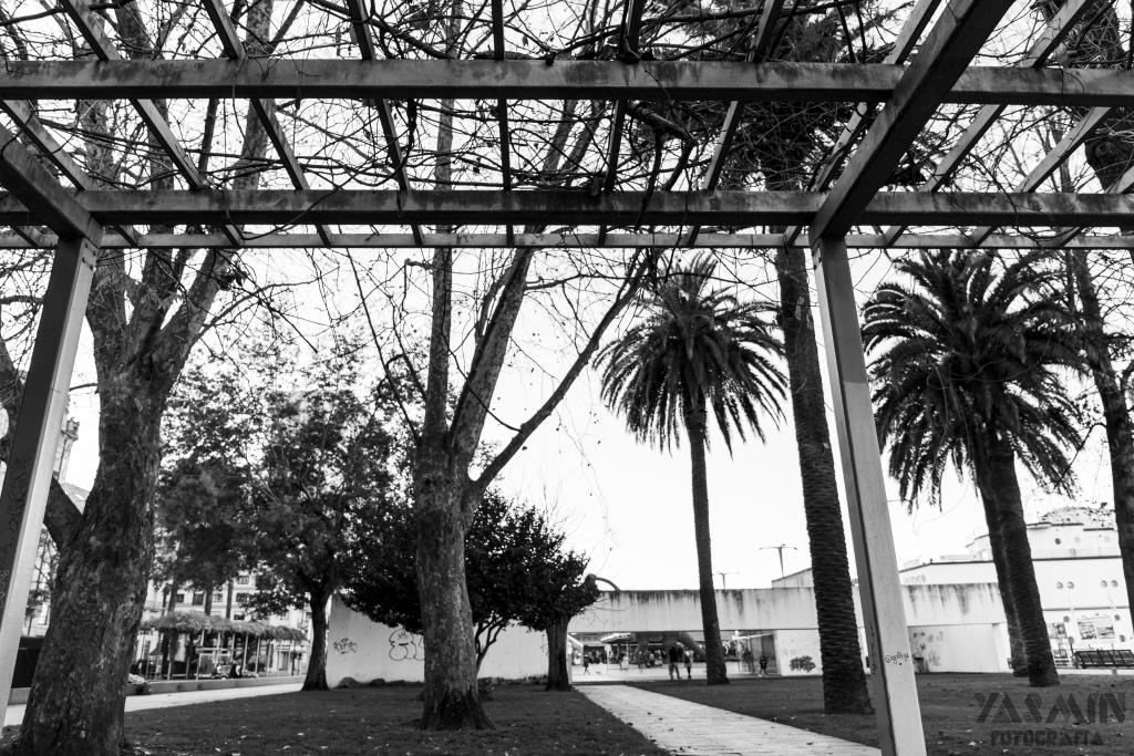 La historia de los Jardines de As Avenidas comienza a finales del siglo XIX cuando la Junta de Obras del Puerto edifica en el relleno del Arenal su nueva sede administrativa, rodeada de un espacio ajardinado.