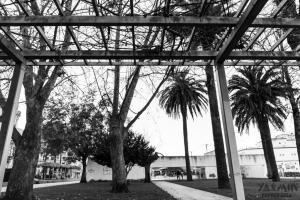 La historia de los Jardines de As Avenidas comienza a finales del siglo XIX cuando la Junta de Obras del Puerto edifica en el relleno del Arenal su nueva sede administrativa, rodeada de un espacio ajardinado.