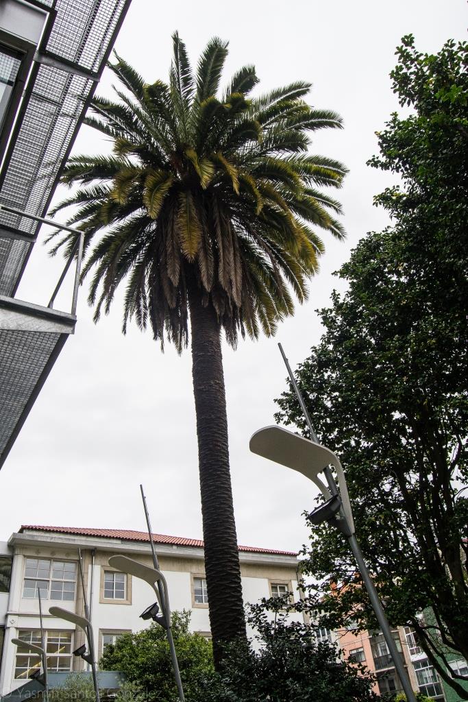 En la rúa López Mora, carretera de asentamiento de otras villas indianas cercanas, como el Chalé El Pilar o la Villa Rosendo Silva se encuentra la actual comisaría. Hasta 1987 este edificio funcionaba como Hospital Militar, si bien es probable que antes fuera una villa particular, edificada hacia finales del siglo XIX o primeros del XX.