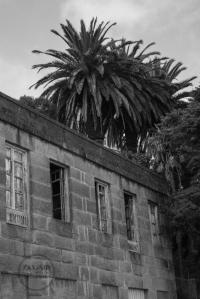 Frente a la playa de O Salgueirón se erguía la fábrica de salazón del genovés Guido Paganini Picasso, que hacia 1930 y tras su quiebra era adquirida por Massó Hermanos.
