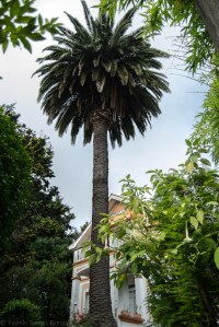 En dicha calle Vista Alegre se conservan todavía varias casas de gran antigüedad, una de las cuales es la Villa Miramar. Consta de dos alturas y un semisótano, con planta en forma de T.