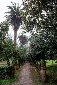 Con al menos cinco siglos de antigüedad, el Pazo de Lourizán es una propiedad enfocada principalmente hacia el uso agropecuario hasta su adquisición a finales del siglo XIX por el político gallego Eugenio Montero Ríos.