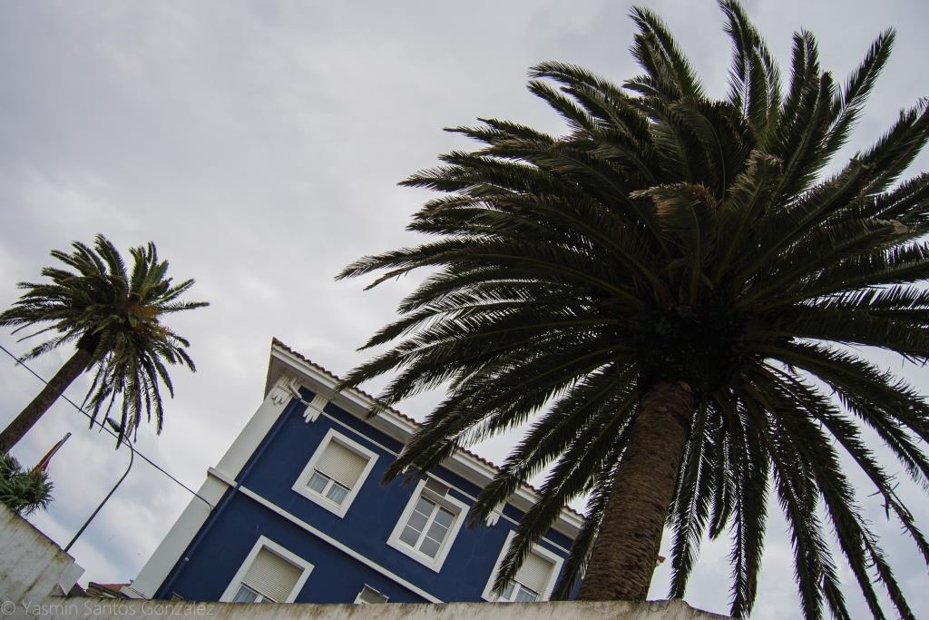 Catalogada como residencia logística militar, sirve para el alojamiento de efectivos en servicio. Está situada en las proximidades del Cuartel de Atocha, rodeada por tres grandes ejemplares.