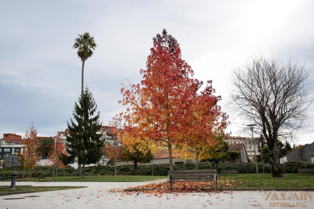 La propiedad perteneció al comerciante pontevedrés Severino Martínez, dueño de la tienda de ultramarinos “La Abundacia”.
