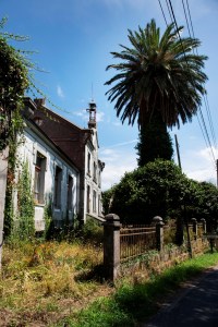 El nacimiento de este grupo escolar se vincula a José Antonio Cornide Crego, emigrante en Cuba y empresario cafetero, quien el 19 de noviembre de 1905 crea la Sociedad de Instrucción San Adrián junto con su hermano.