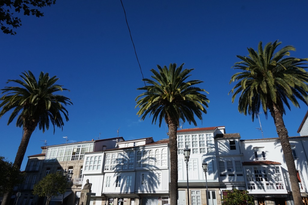 Se encuentran estos pequeños jardines ante la alameda de Celanova, construida sobre las huertas de San Salvador una vez llegada la desamortización.