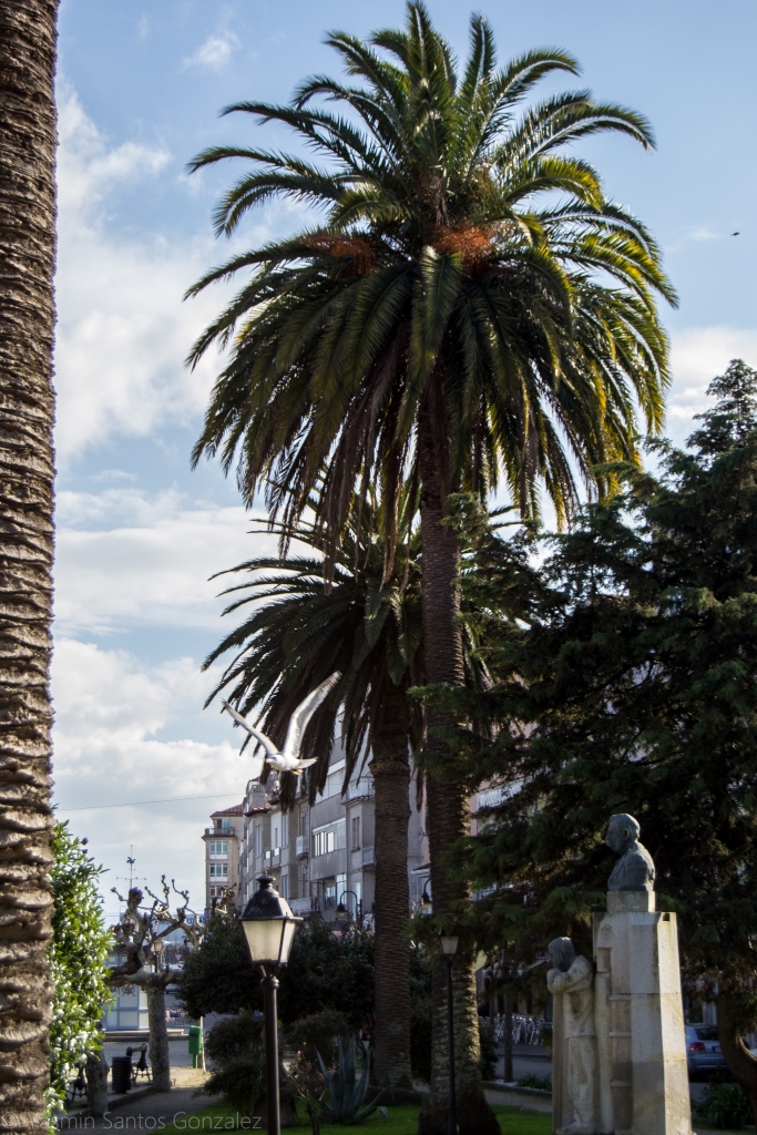 El espacio rinde homenaje al indiano Félix Soage Villarino, que sufragó la construcción del mercado y la restauración de la colegiata a principios del siglo XX, entre otras cosas.