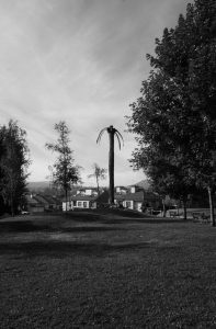 Crece esta palmera en el centro de un parque público situado en el Camiño Quirós, próximo a la Estación de Autobuses, en Sárdoma.