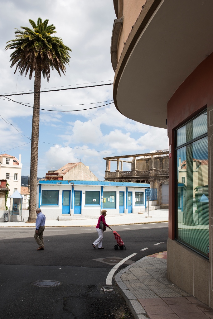 Espectacular ejemplar de palmera canaria que se encuentra junto al Cine Zárate, en el centro de la localidad.