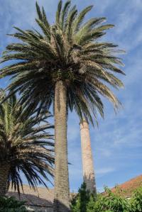 Situada en A Garita, un extremo de la playa de Rodeira, la construcción data aproximadamente de 1915.
