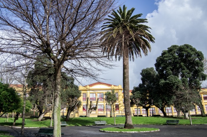 La urbanización, en cuyo centro se sitúa el destacado ejemplar, fue promovida por el político Ramón Maseda Reinante, con un concepto de vivienda unifamiliar para clases populares.