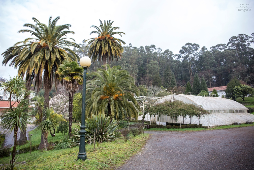 Con al menos cinco siglos de antigüedad, el Pazo de Lourizán es una propiedad enfocada principalmente hacia el uso agropecuario hasta su adquisición a finales del siglo XIX por el político gallego Eugenio Montero Ríos.