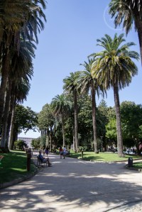El 29 de abril de 1879 se presentaba el proyecto de la Alameda, Avenida de Montero Ríos y Jardines de Vincenti, en la zona inmediata a las recién derribadas murallas y en un tipo de operación urbana que se repite sistemáticamente en esta época a lo largo de la geografía gallega.